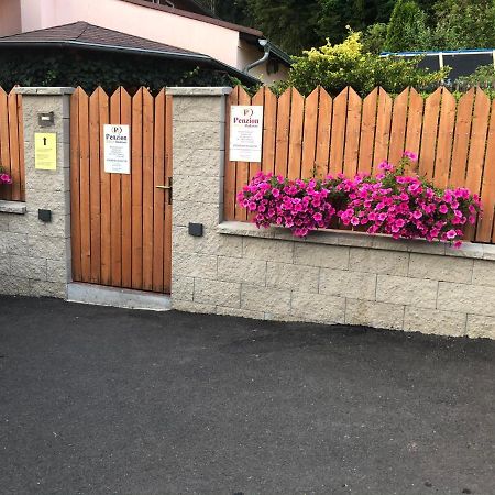 Penzion Radosov Ubytovani V Soukromi Kyselka  Exterior foto
