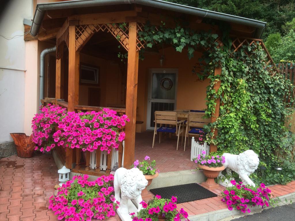 Penzion Radosov Ubytovani V Soukromi Kyselka  Exterior foto