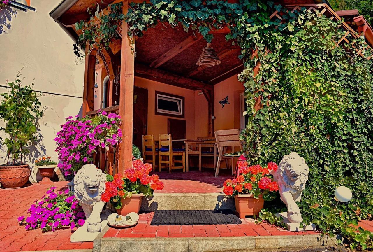 Penzion Radosov Ubytovani V Soukromi Kyselka  Exterior foto